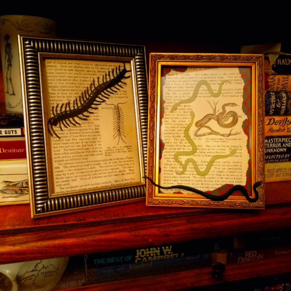 Creepy crawlies in frames, set of 2, handmade